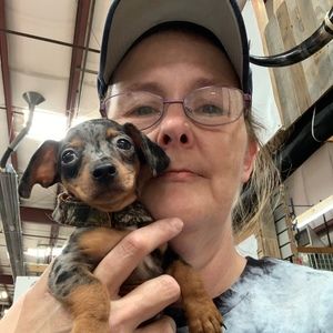 Meet your Posher, Sylvia
